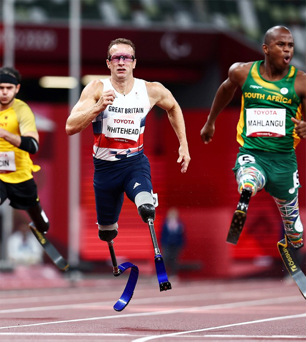 Esta es la seccion principal