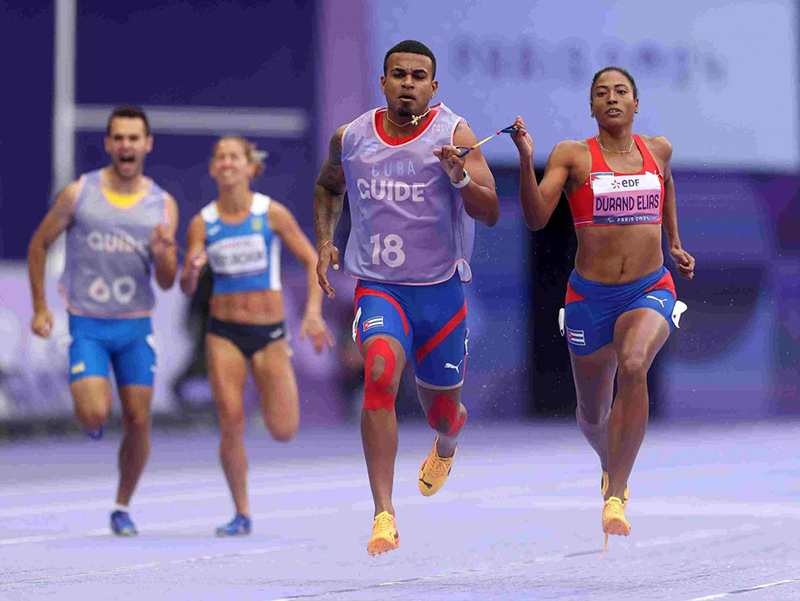 Esta es la seccion principal