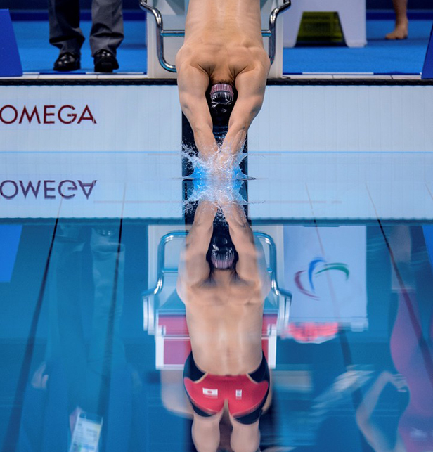 Esta es la seccion principal