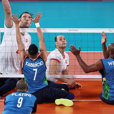 Esta es la seccion principal